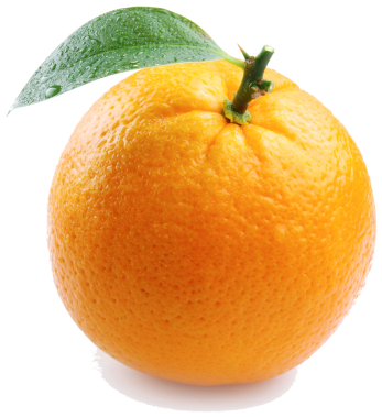 ingredients_organic_orange_peel